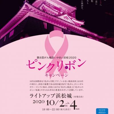ライトアップ浜松城チラシ
